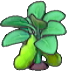 Cultivo (cualquiera)