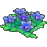 Flores rocosas