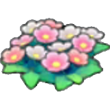 Flores silvestres