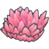 Hierba alta rosa