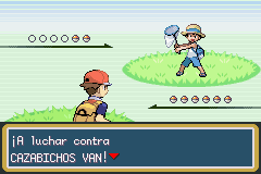 Cómo Pasar Rojo Fuego Con SOLO Pokémon TIPO BICHOS 