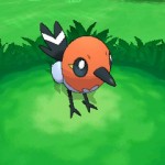 fletchling_ingame