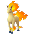 078 Rapidash Pokemon Go