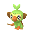 810 Grookey Pokemon Go