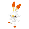 813 Scorbunny Pokemon Go