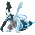 646 Kyurem Negro Pokemon Go